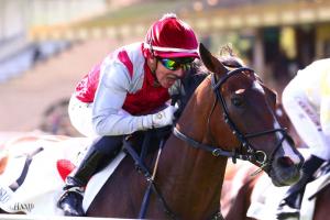 Coupe Maisons 22 Monty