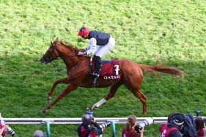 Kyprios est bien le meilleur stayer