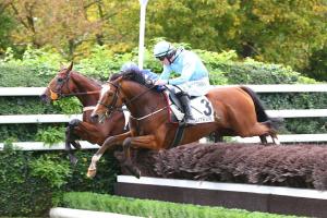 McTigue a montré ses qualités de sauteur