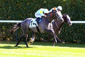 Criterium maisons-laffitte 22 charyn