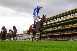 Boussac 22 Blue Rose Cen