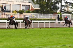 Chambly 22 Dreammy Bell