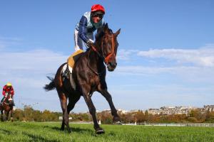 Magne 22 Angela Berlais