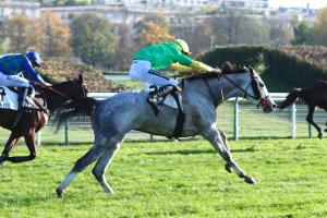 Gillois 22 Gessy Raiselle