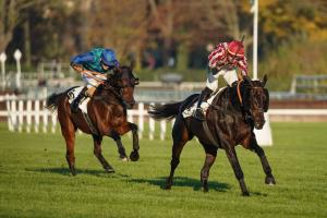 La Haye Jousselin 22 Figuero