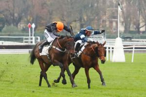 Georges courtois 22 gran diose