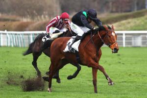 Duc d'anjou 23 juntos ganamos