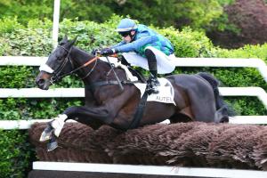 Losange Bleu n'a pas rencontré d'opposition