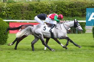 Head 23 Doctor Kaleo