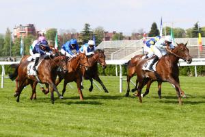 Cleopatre 23 Crown Princesse