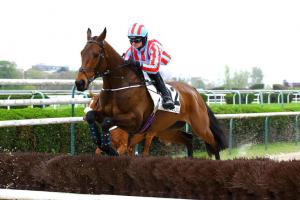 Imperil à la haie d'essai de l'hippodrome d'Auteuil où il a remporté le Prix du Président de la République 2023.