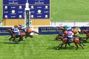 Poulains 23 Marhaba Ya Sanafi