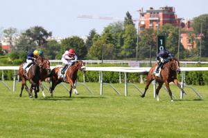 Corrida 23 Above the Curve