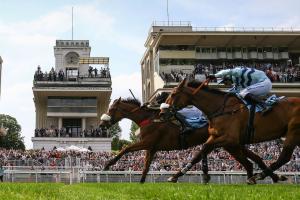 Grand Steeple 23 Rosario Baron