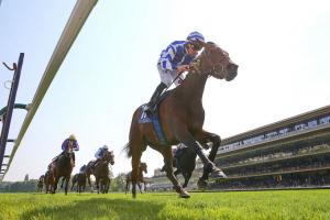 Pouliches 23 Blue Rose Cen