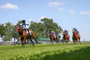 Texanita 23 Believing