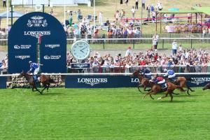 Diane 23 Blue Rose Cen