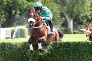 Perichole 23 Speed Emile