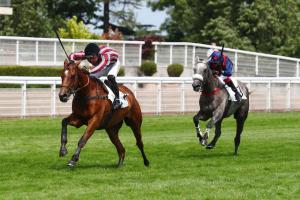 Questarabad 23 Julenaland