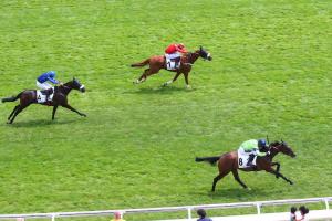 Tredern 23 Javanaise