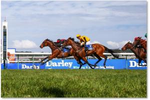 darley finish