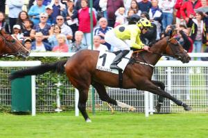 Cabourg 23 Elite Status