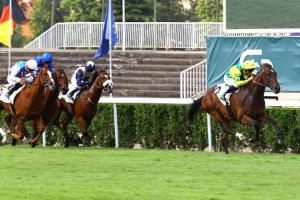 Eugene Adam 23 Horizon Dore