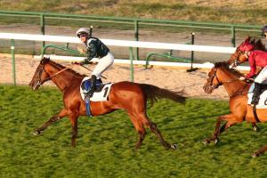 GPParis 23 Feed the Flame