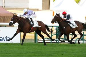 Malleret 23 Rue Boissonade