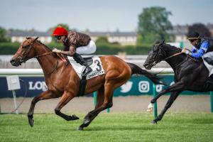 Messidor 23 Fast Raaj