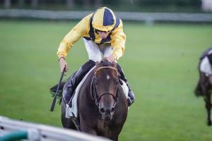 Nieuil 23 The Good Man