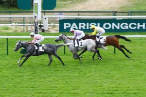 Maillot 23 King Gold