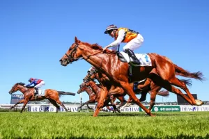 Haras d’Etreham Prix Jean Prat