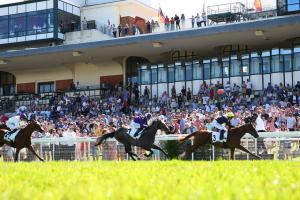 Calvados 23 Les Pavots