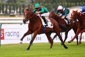 La Belle Poete Deauville