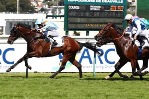 Daphnis 23 Brave Emperor