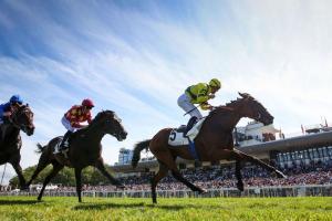 Ornano 23 Ace Impact