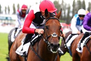 Quincey 23 Poker Face