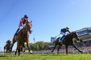 Romanet 23 Mqse de Sevigne