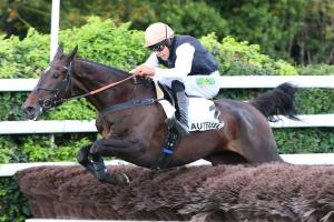 Compiegne 23 Goa Lil