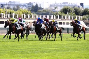 Prince Orange 23 Horizon Dore