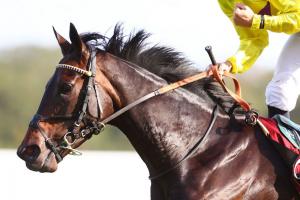 23 Royallieu Sea Silk Road