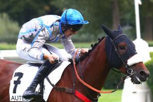 The Fellow 23 Okkido