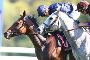 Vermeille 23 Warm Heart