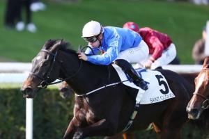 Flore 23 Village Voice