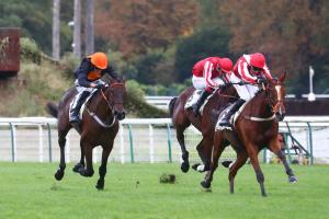 Heros XII 23 Incollable