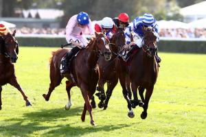 Opera 23 Blue Rose Cen