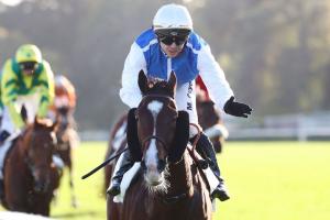 Royal-Oak 23 Double Major