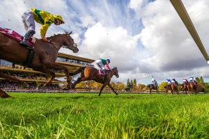 Photo article Equures