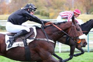 Gillois 23 Amy du Kiff